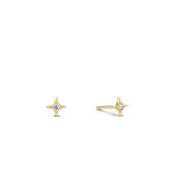 Twinkle Stud Earring