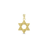 Star Of David Necklace
