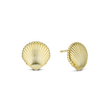 Shelly Earring