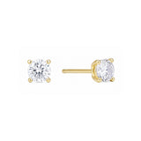 Classic Stud Earring