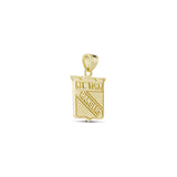 Gold NY Rangers shield pendant on its own