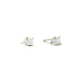 Double Stud Earring