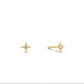 Twinkle Stud Earring